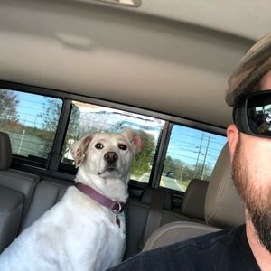 Meet your Posher, Joe